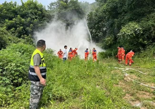 守好绿色家园|铁山坪街道扎实做好森林防火工作